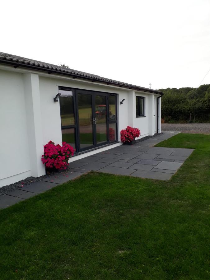 Foxholes Accommodation Felton  Esterno foto